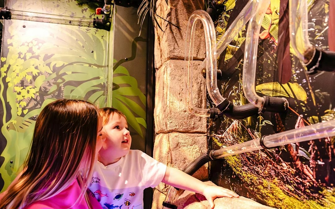 SEA LIFE Brighton: Anytime Entry Ticket Image 8