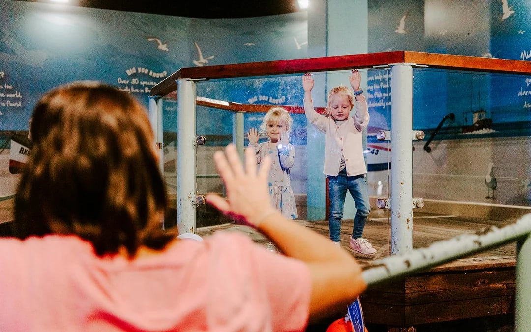 SEA LIFE Brighton: Anytime Entry Ticket Image 10