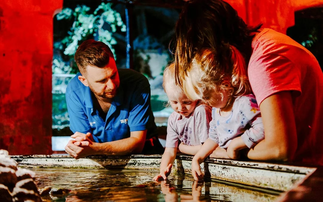 SEA LIFE Brighton: Deluxe Anytime Package Image 1