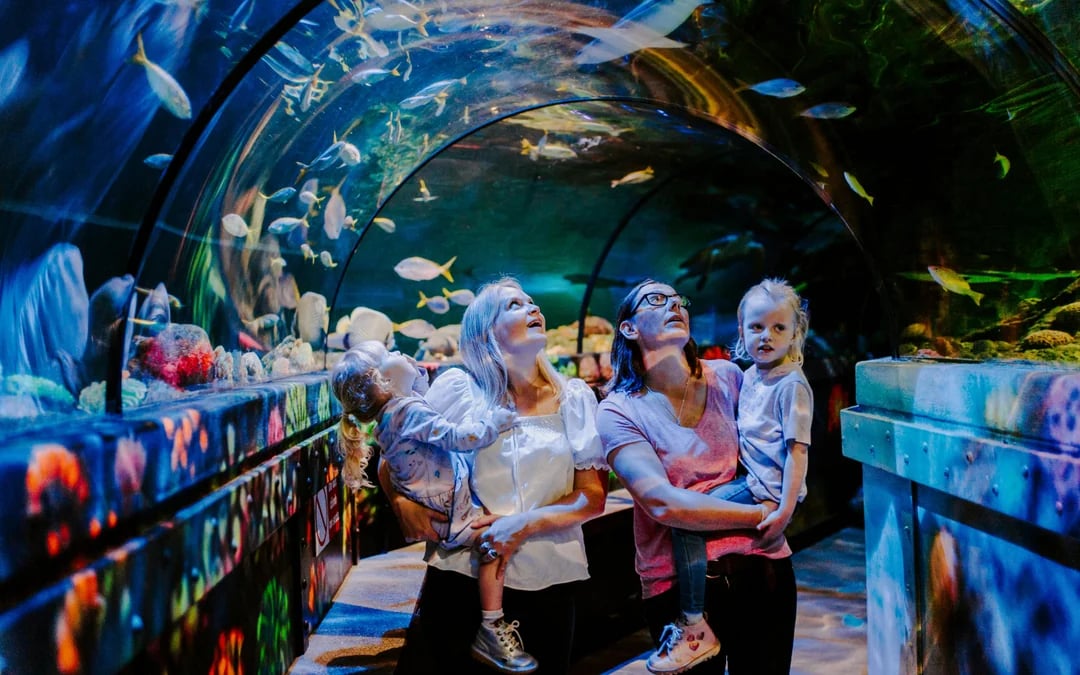 SEA LIFE Brighton: Deluxe Anytime Package Image 2