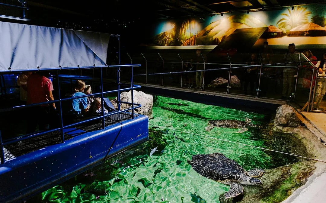 SEA LIFE Brighton: Deluxe Anytime Package Image 12
