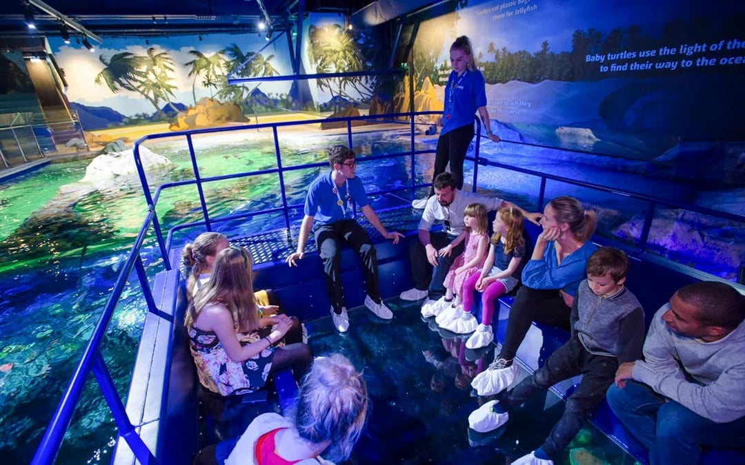 SEA LIFE Brighton: Deluxe Anytime Package Image 3