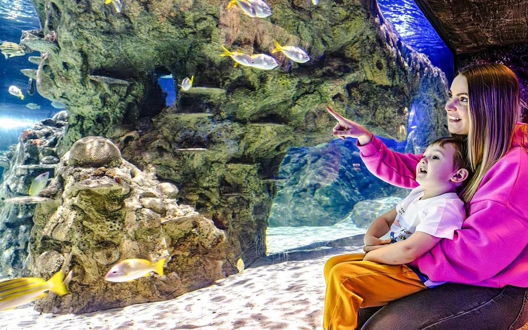 SEA LIFE Brighton: Deluxe Anytime Package Image 10