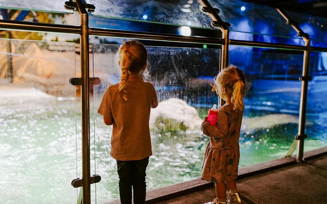 SEA LIFE Brighton: Standard Admission Tickets Image 11