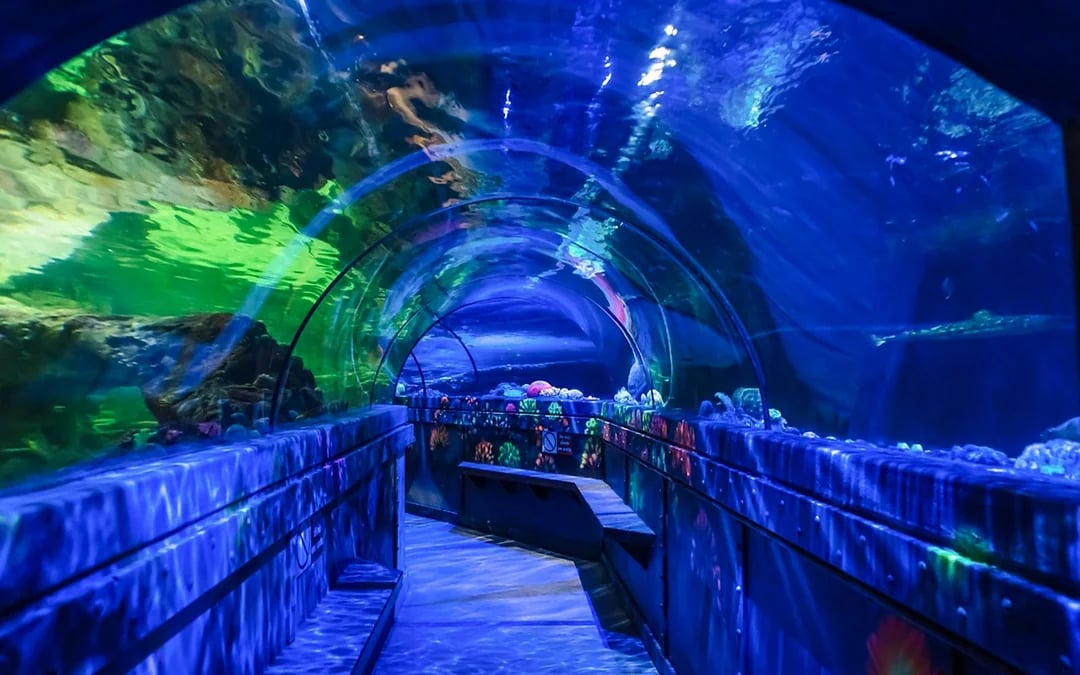 SEA LIFE Brighton: Standard Admission Tickets Image 4