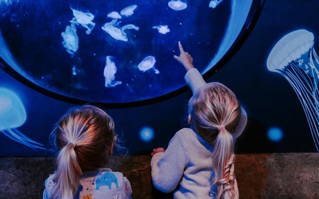 SEA LIFE Brighton: Standard Admission Tickets Image 6
