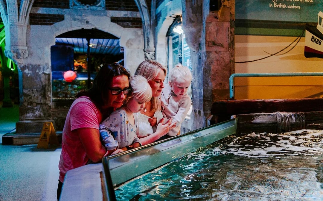 SEA LIFE Brighton: Standard Admission Tickets Image 10