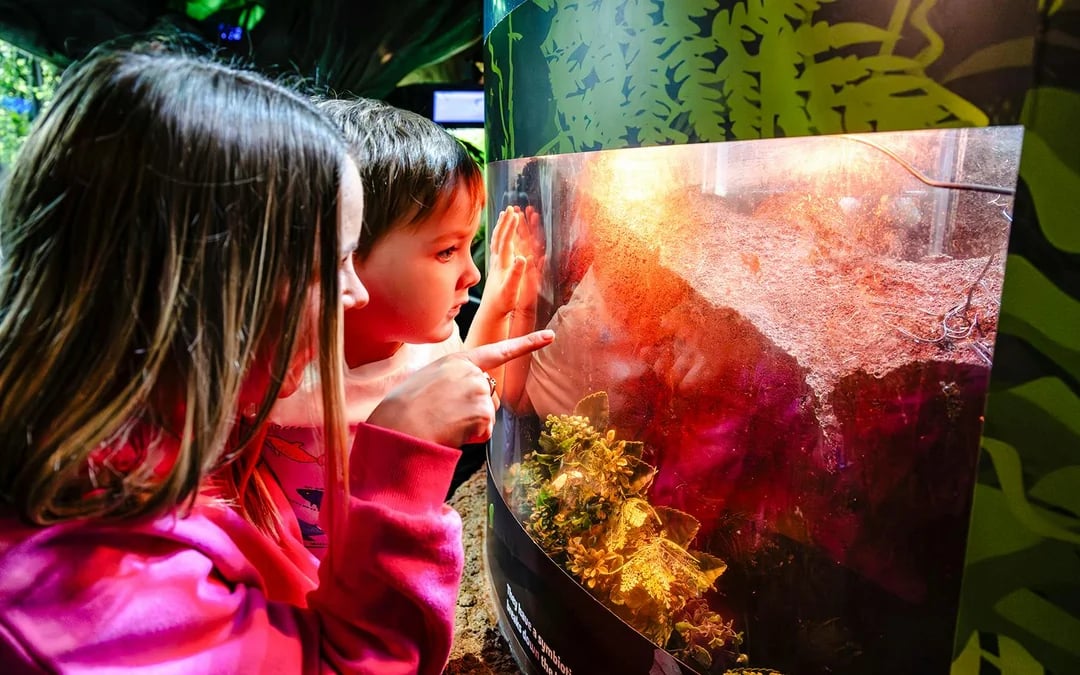 SEA LIFE Brighton: The SEA LIFE package Image 3