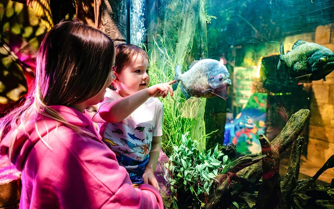 SEA LIFE Brighton: The SEA LIFE package Image 9