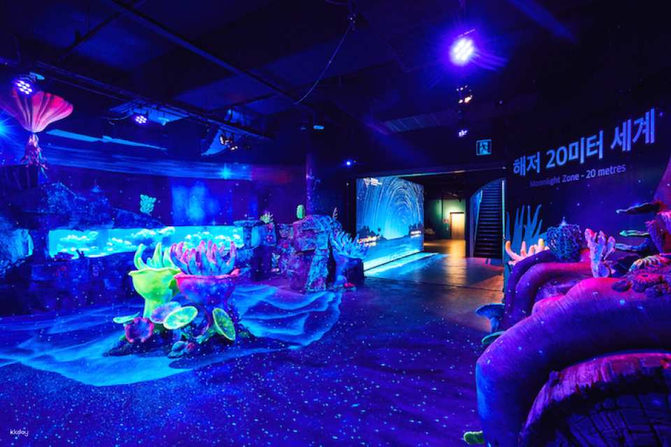 Sea Life Busan Aquarium Tickets | Korea