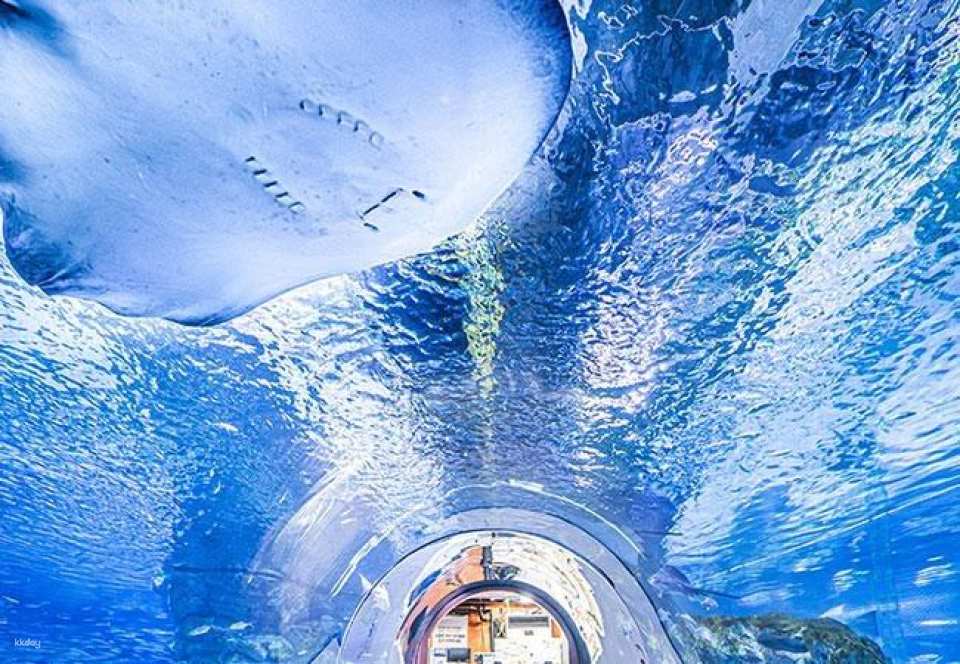 SEA LIFE COEX, Seoul Aquarium Admission Ticket