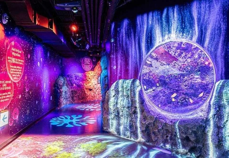 SEA LIFE COEX, Seoul Aquarium Admission Ticket