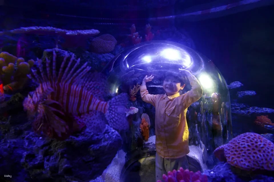 SEA LIFE COEX, Seoul Aquarium Admission Ticket