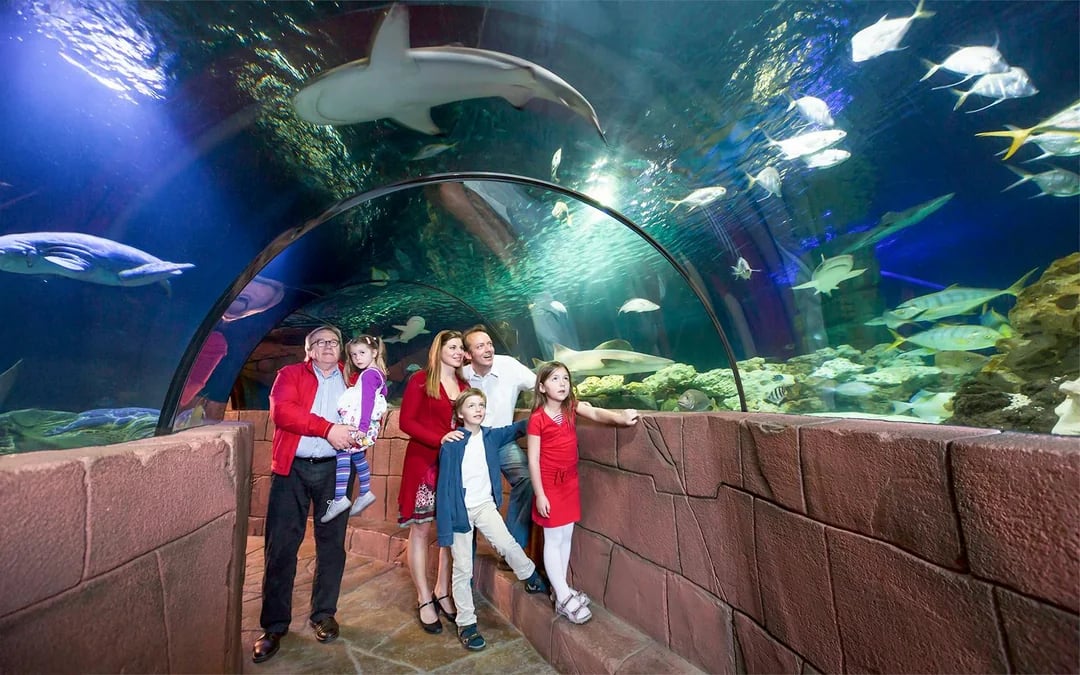 SEA LIFE Hannover Entry Tickets Image 1