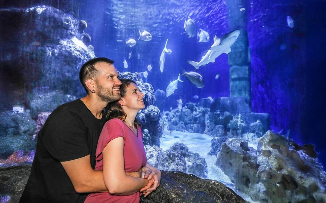 SEA LIFE Hannover Entry Tickets Image 9
