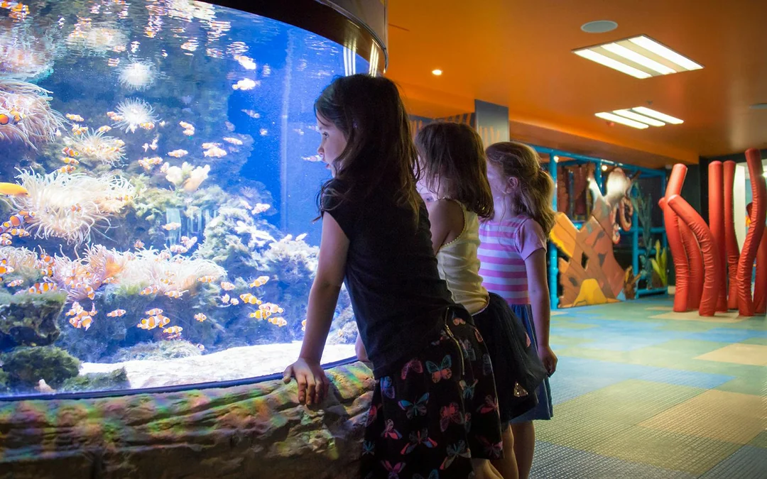 Sea Life Kelly Tarlton's Aquarium Entry Tickets Image 4