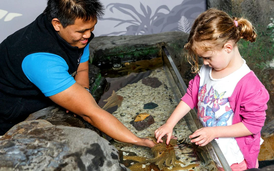 Sea Life Kelly Tarlton's Aquarium Entry Tickets Image 8