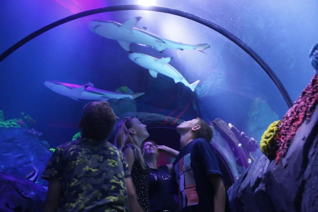 SEA LIFE Konstanz Admission Ticket
Image 2