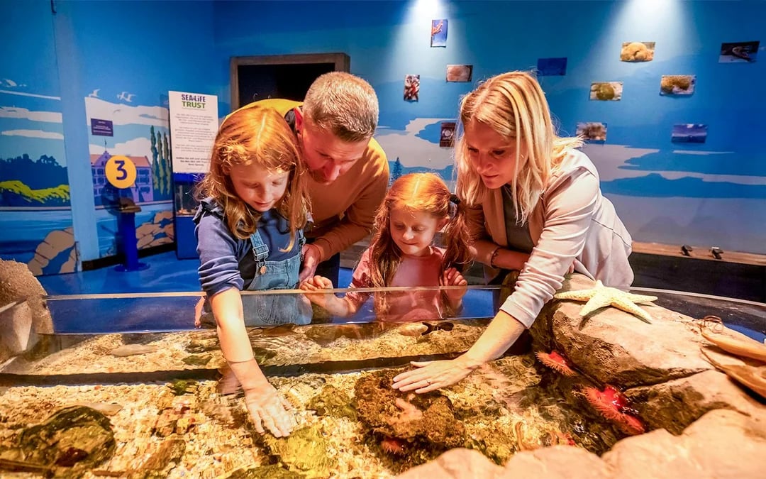 SEA LIFE Konstanz Admission Ticket
 Image 4