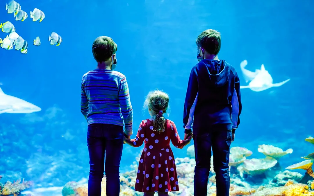 SEA LIFE Loch Lomond Anytime Entry Ticket Image 5