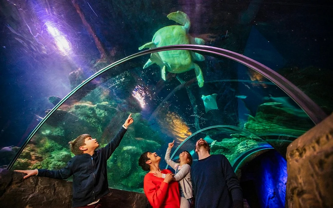 SEA LIFE London Aquarium: Anytime Entry Tickets Image 1