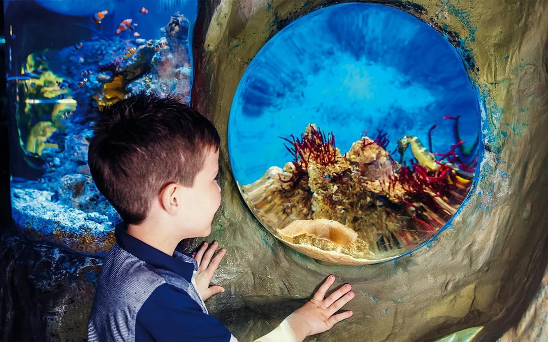 SEA LIFE London Aquarium: Anytime Entry Tickets Image 2