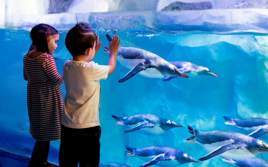 SEA LIFE London Aquarium: Anytime Entry Tickets Image 3