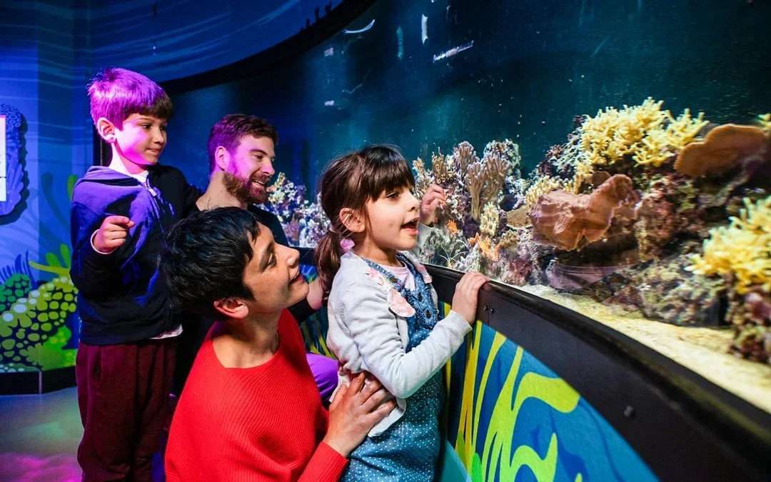 SEA LIFE London Aquarium: Anytime Entry Tickets Image 7