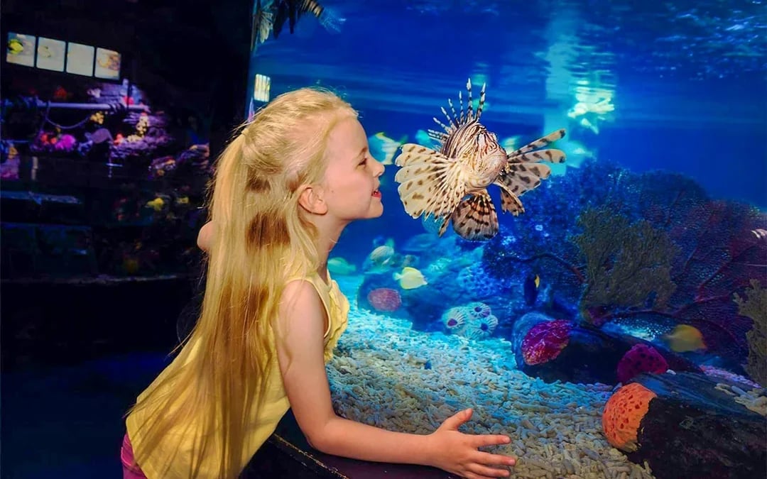 SEA LIFE London Aquarium Behind The Scenes Tour Image 5