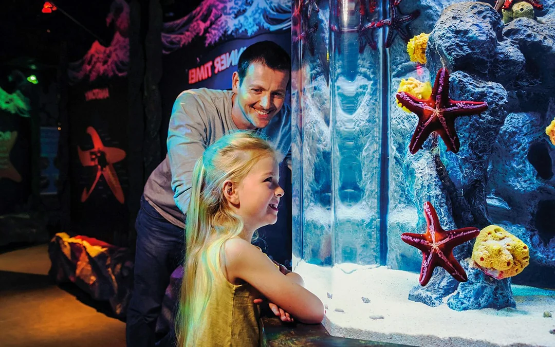 SEA LIFE London Aquarium: Deluxe Package Image 2