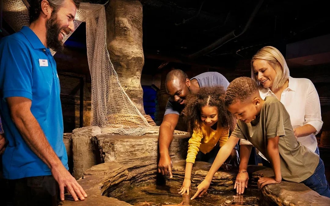 SEA LIFE London Aquarium: Deluxe Package Image 3