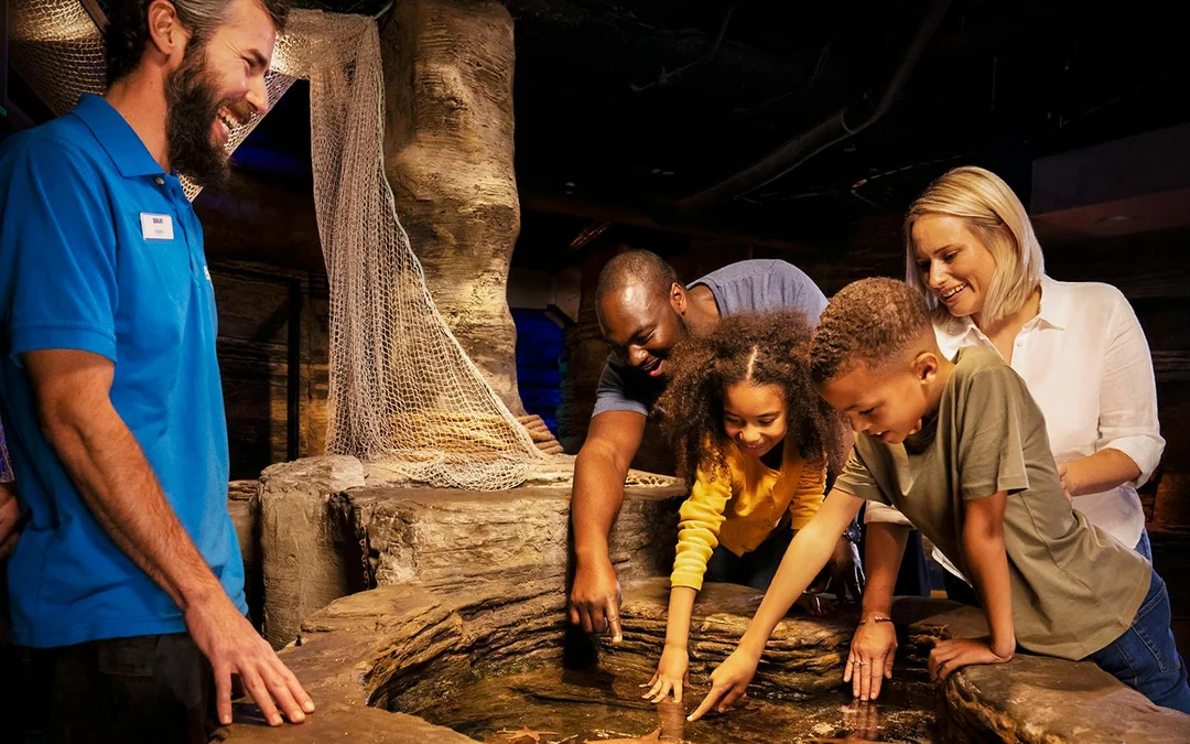 SEA LIFE London Aquarium: Deluxe Package Image 3