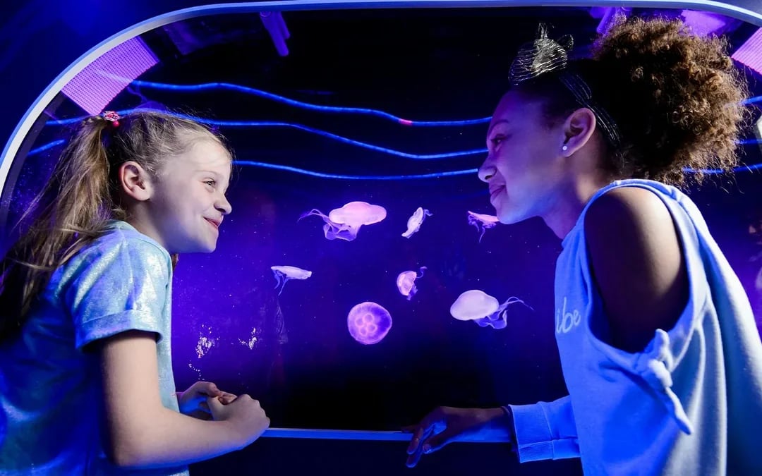 SEA LIFE London Aquarium: Deluxe Package Image 6