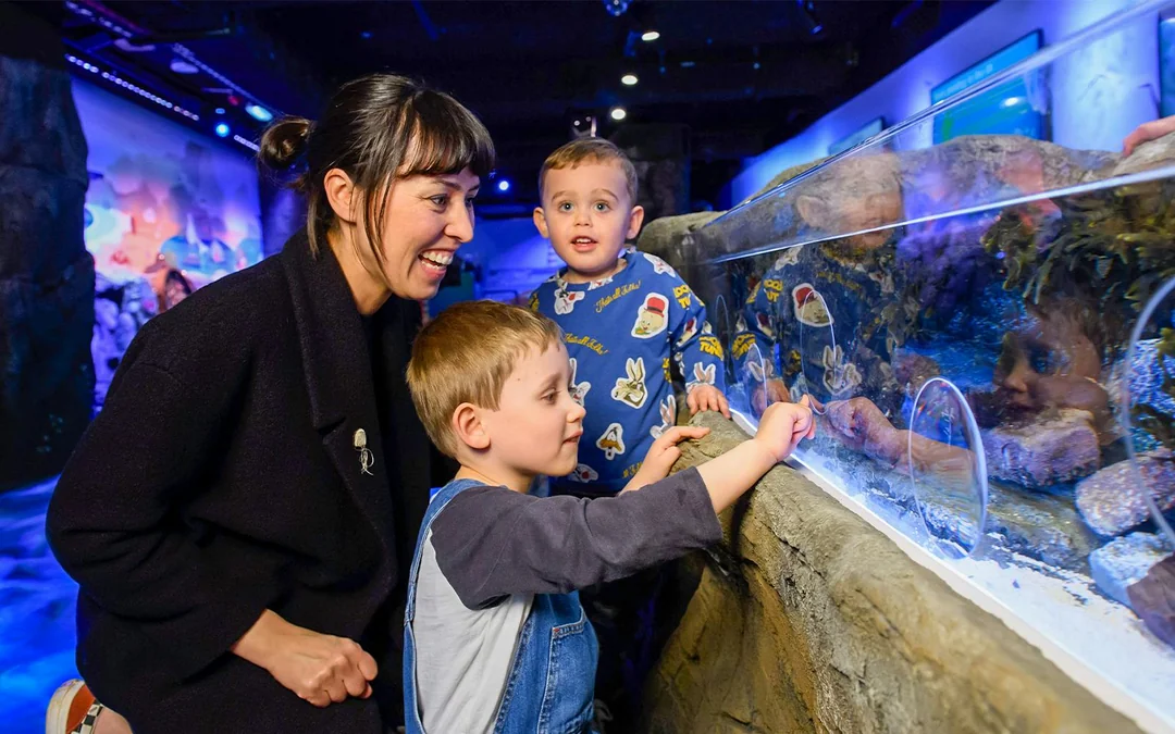 SEA LIFE London Aquarium: Deluxe Package Image 10