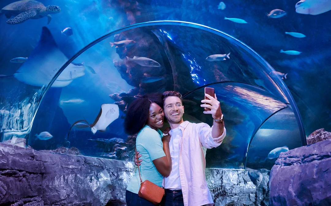 SEA LIFE London Aquarium: Standard Admission Tickets Image 2