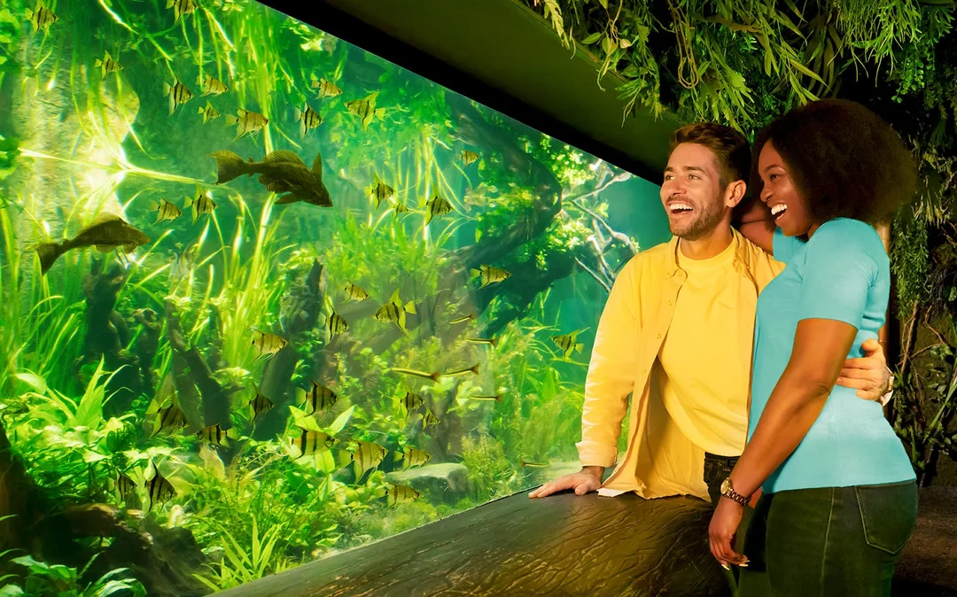 SEA LIFE London Aquarium: Standard Admission Tickets Image 11