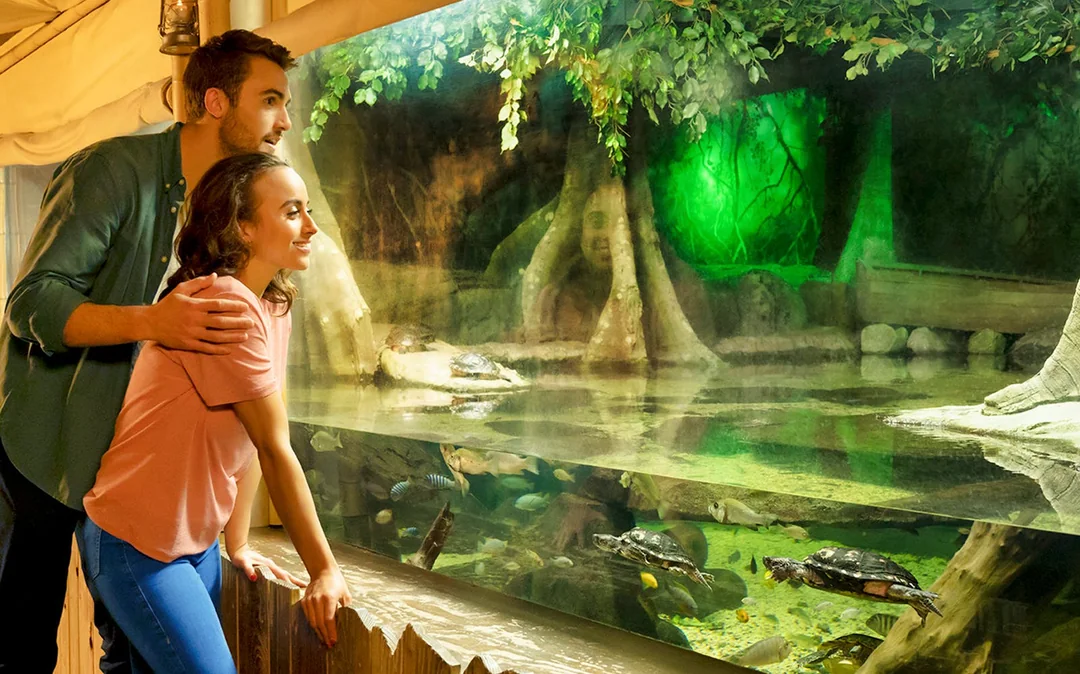 SEA LIFE London Aquarium: Standard Admission Tickets Image 4