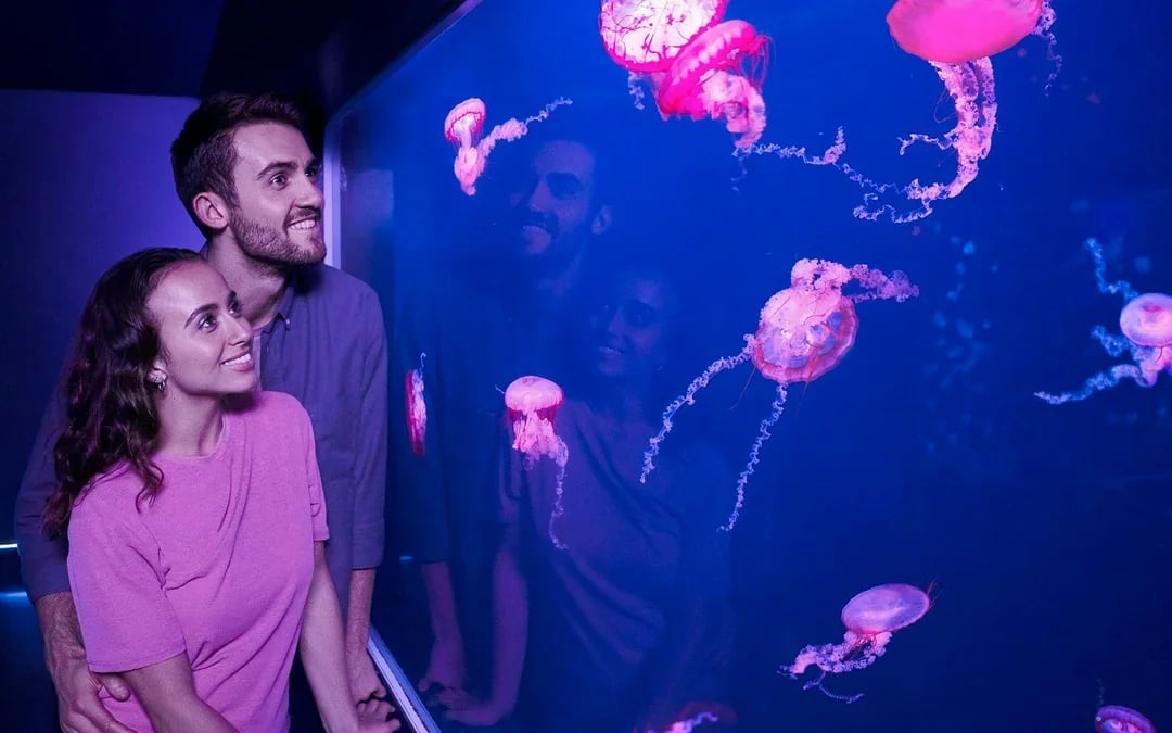 SEA LIFE London Aquarium: Standard Admission Tickets Image 8
