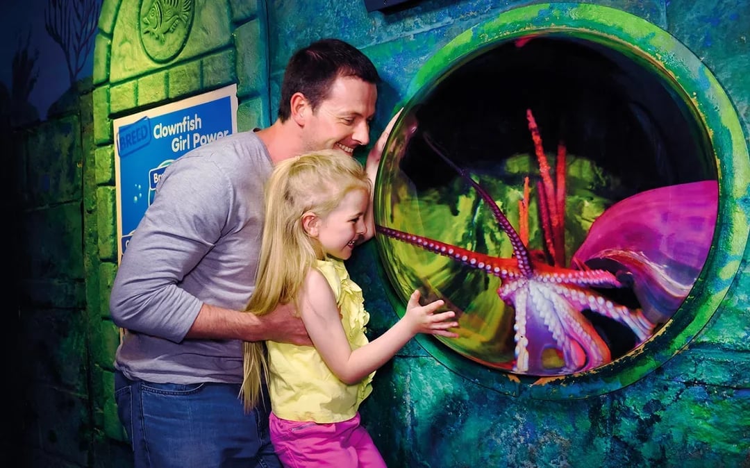 SEA LIFE London Aquarium: Standard Admission Tickets Image 10