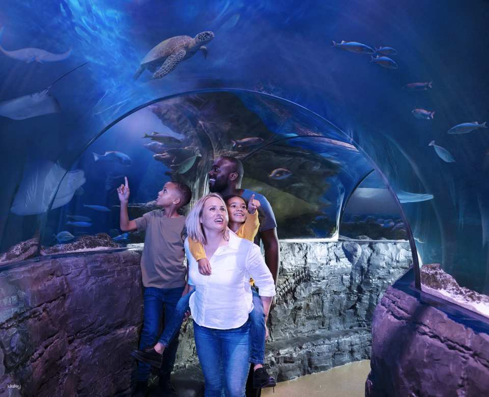 SEA LIFE London Aquarium Ticket | London