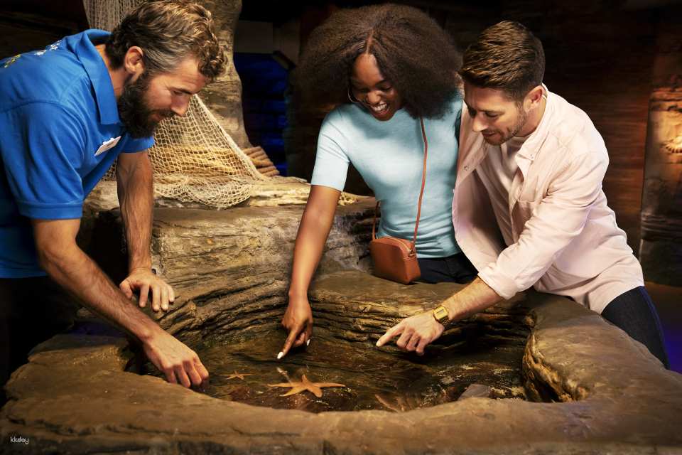 SEA LIFE London Aquarium Ticket | London