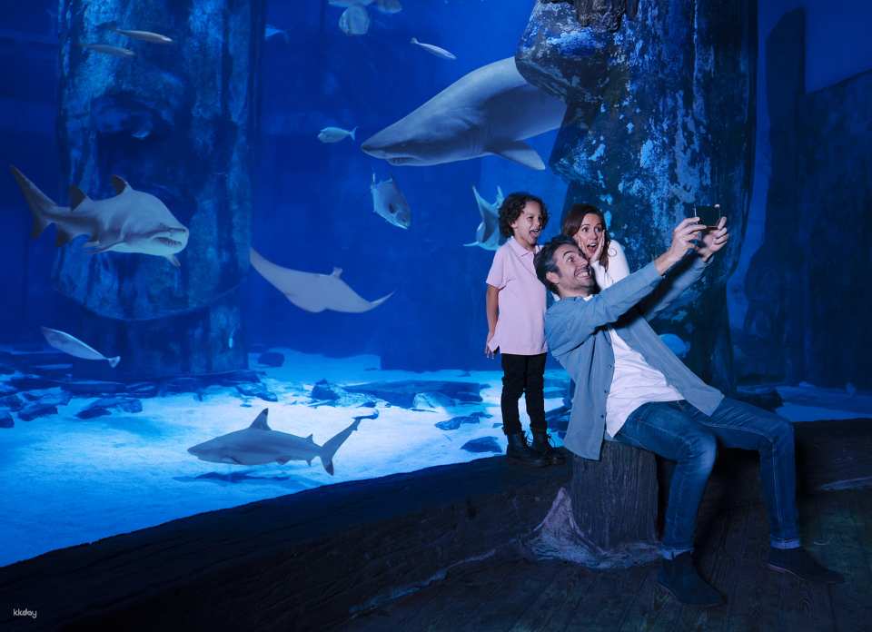 SEA LIFE London Aquarium Ticket | London
