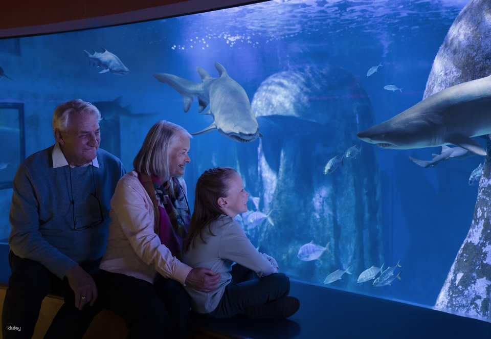 SEA LIFE London Aquarium Ticket | London