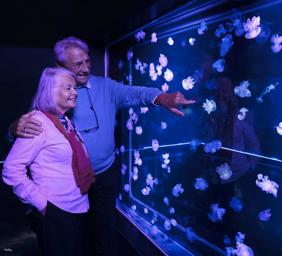 SEA LIFE London Aquarium Ticket | London