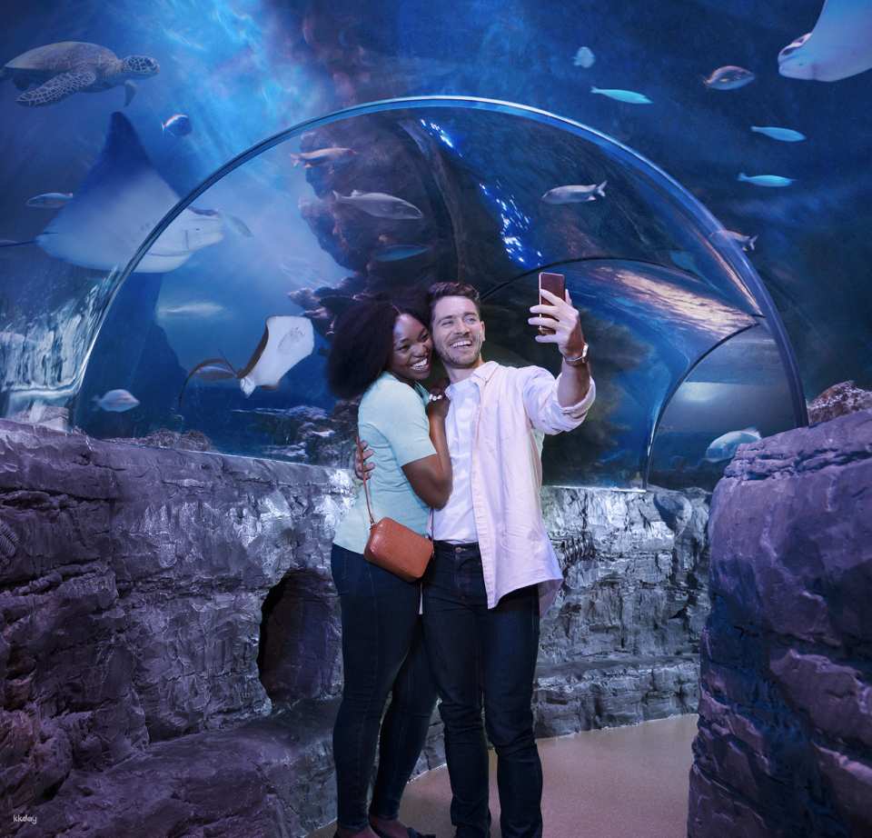 SEA LIFE London Aquarium Ticket | London