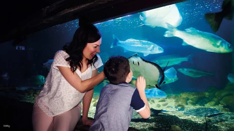 SEA LIFE London Aquarium Ticket | London