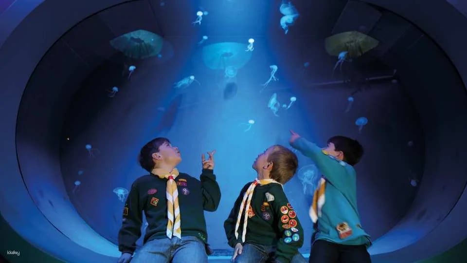 SEA LIFE London Aquarium Ticket | London