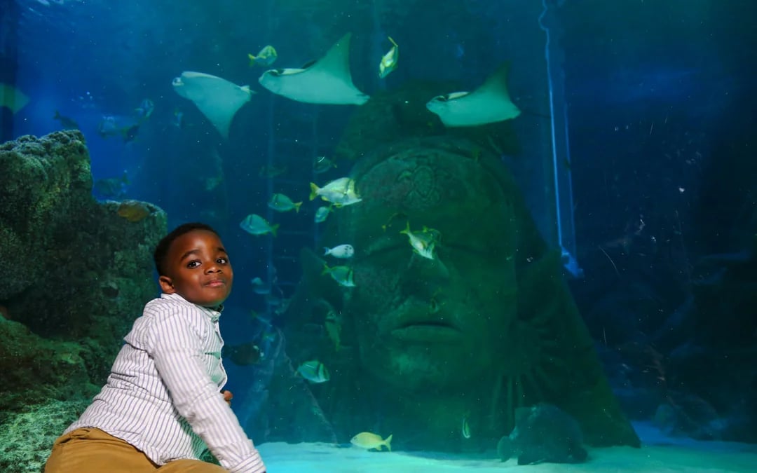 SEA LIFE Manchester Ticket Image 11