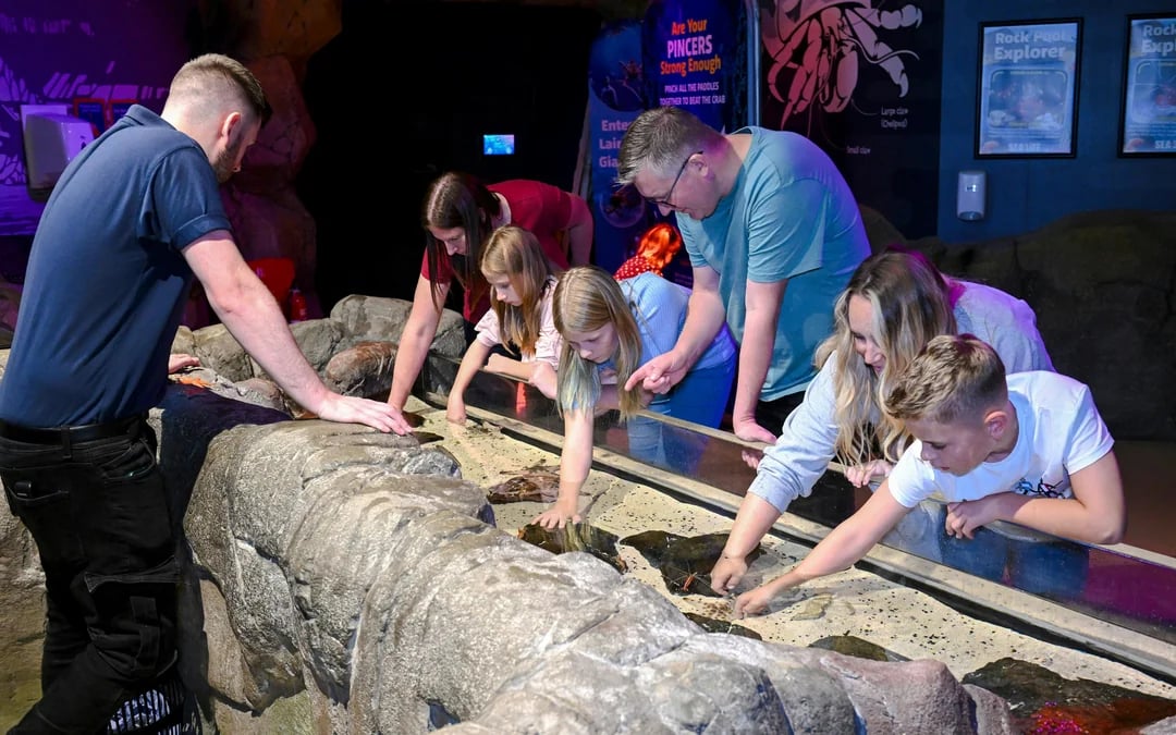 SEA LIFE Manchester Ticket Image 12