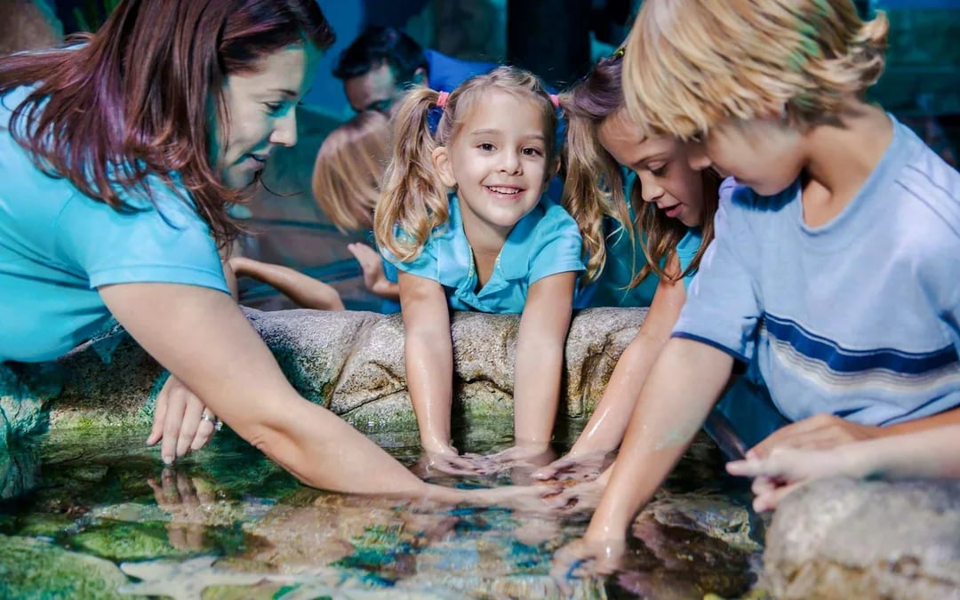 SEA LIFE Manchester Ticket Image 8
